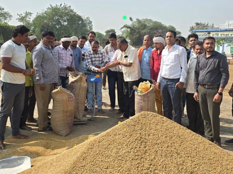 छत्तीसगढ़ धान खरीदी प्रारंभ