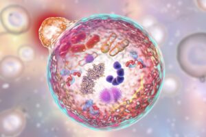 Alzheimer’s, cancer