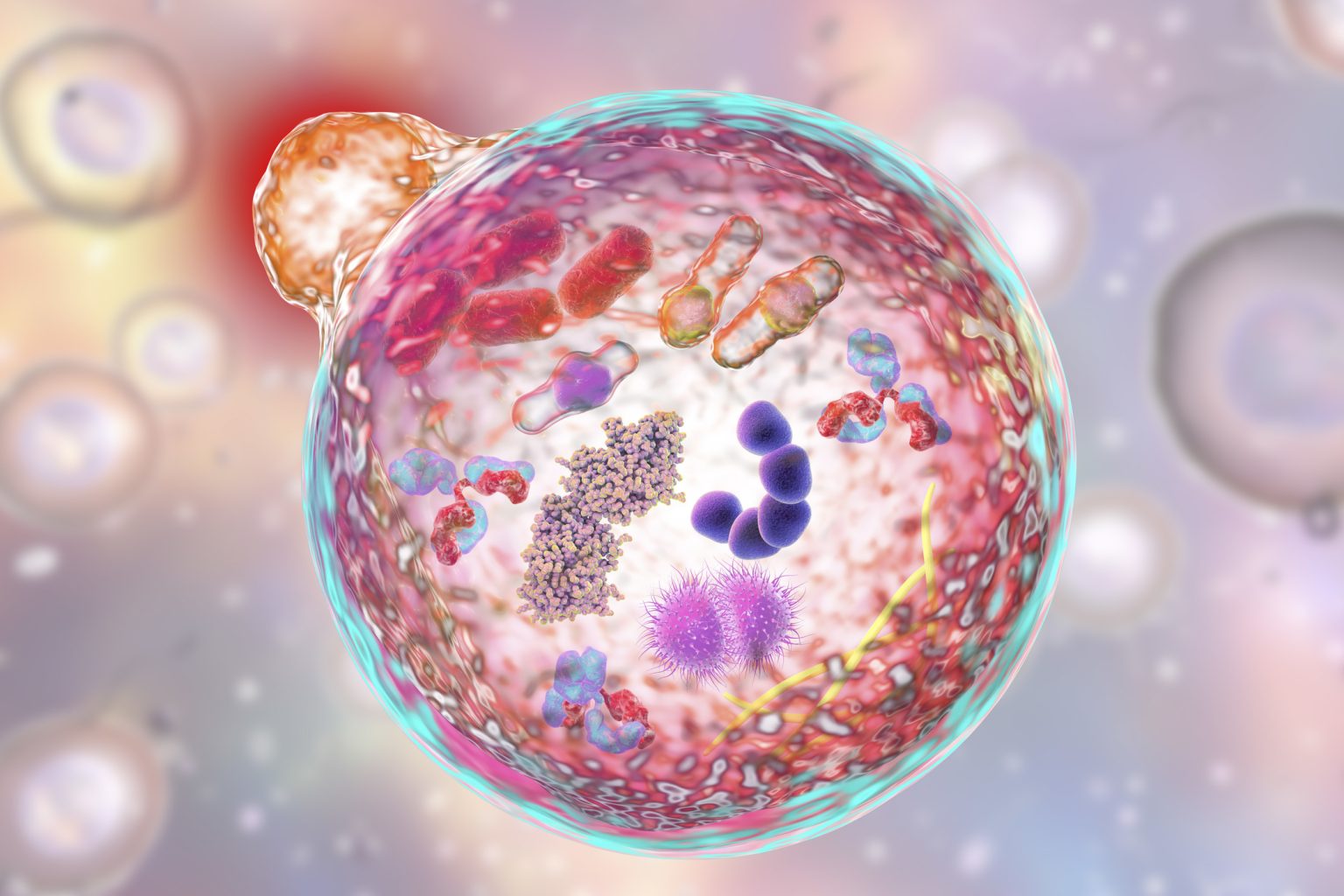 Alzheimer’s, cancer