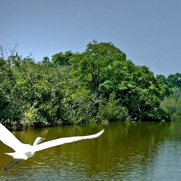 Bhitarkanika National Park