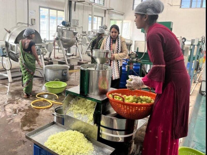 Chhattisgarh Herbal Brand