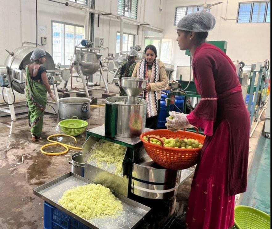 Chhattisgarh Herbal Brand