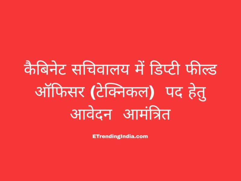 Deputy Field Officer