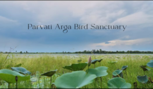 Parvati-Arga Bird Sanctuary