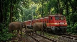 Rajdhani Elephant Accident