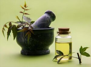 Rare Herbal Stalls Draw Crowds of Tourists