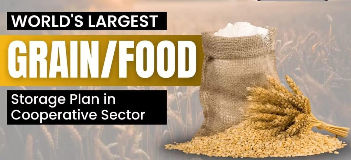 World's largest food