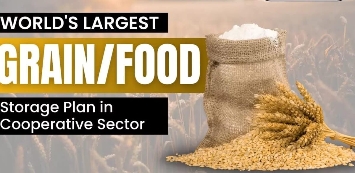 World's largest food