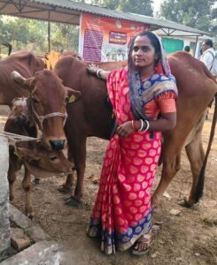 dairy business in Bastar division
