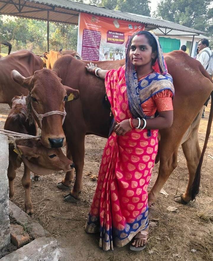 dairy business in Bastar division