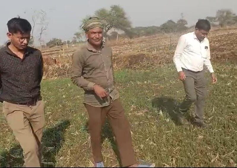 धान के बजाय दलहन तिलहन