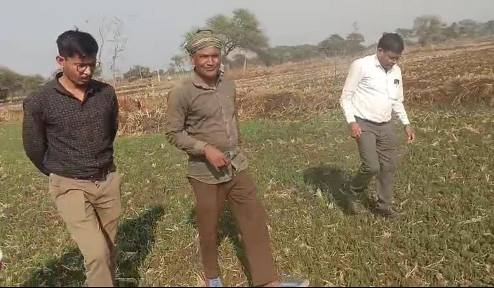 धान के बजाय दलहन तिलहन