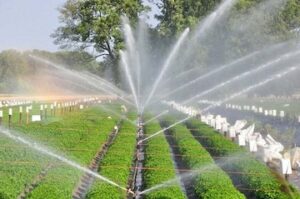 प्रेशर इरिगेशन नेटवर्क तकनीक