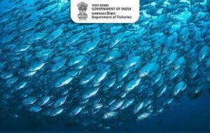 भारत की नीली अर्थव्यवस्था