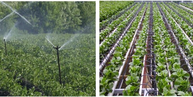 Agricultural Irrigation Scheme