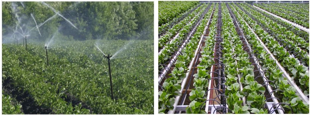 Agricultural Irrigation Scheme