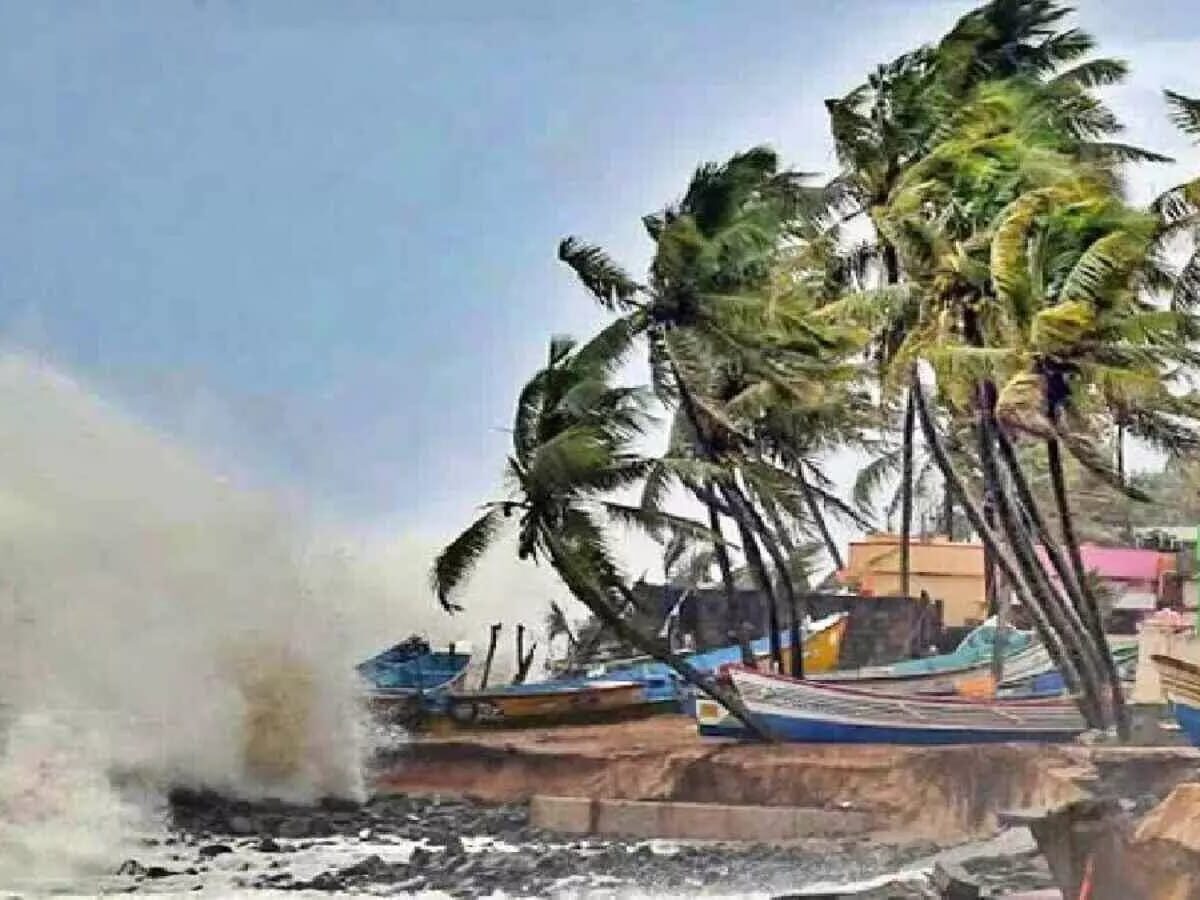 Ahead of Makar Sankranti