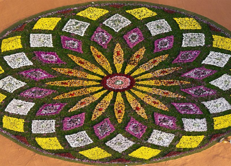 Ahmedabad Flower Show
