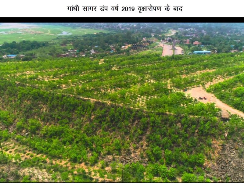 From barren land to a green future