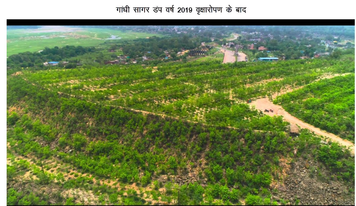 From barren land to a green future