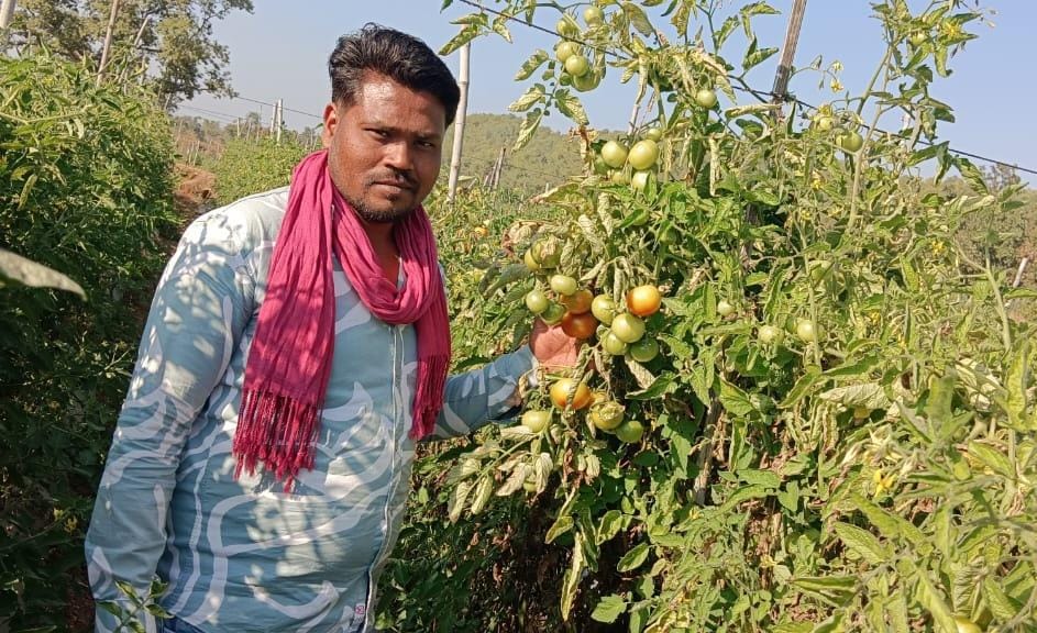 From paddy to horticulture