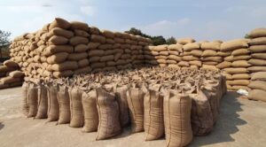 Irregularities in paddy procurement at support price