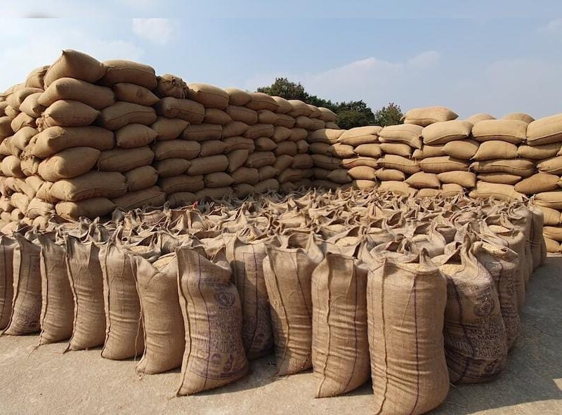 Irregularities in paddy procurement at support price