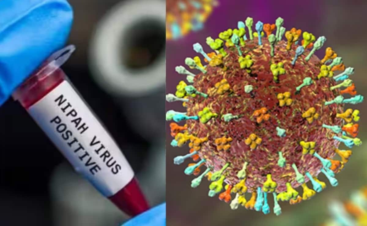 Jharkhand on high alert over Nipah virus