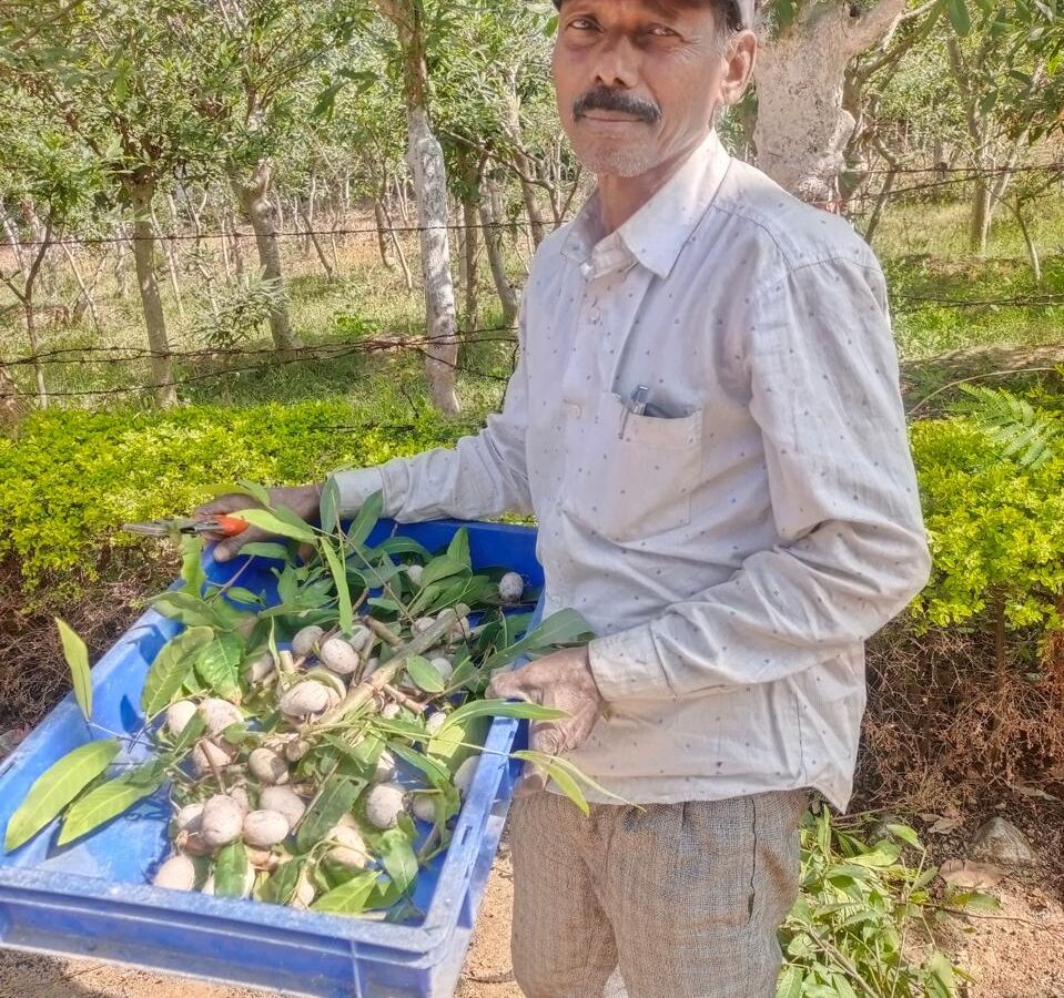 Tasar farming changed his fortune