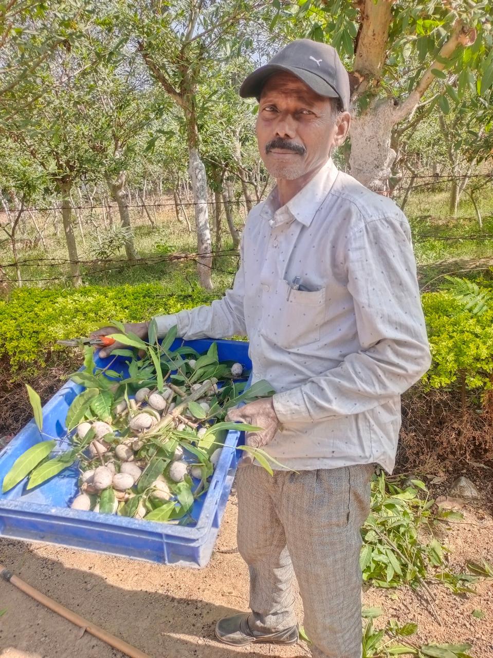 Tasar farming changed his fortune