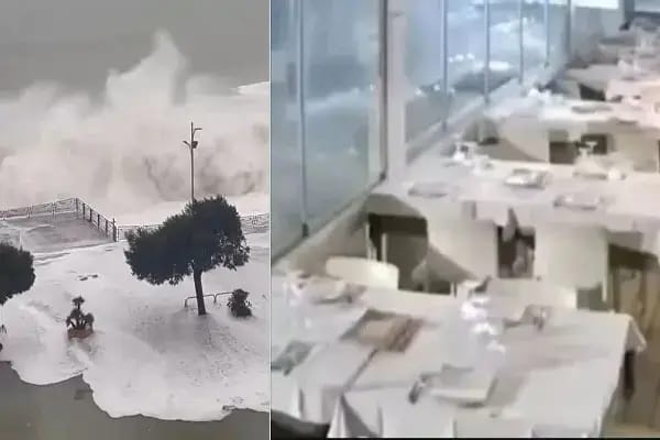 तूफान हैरी तबाही