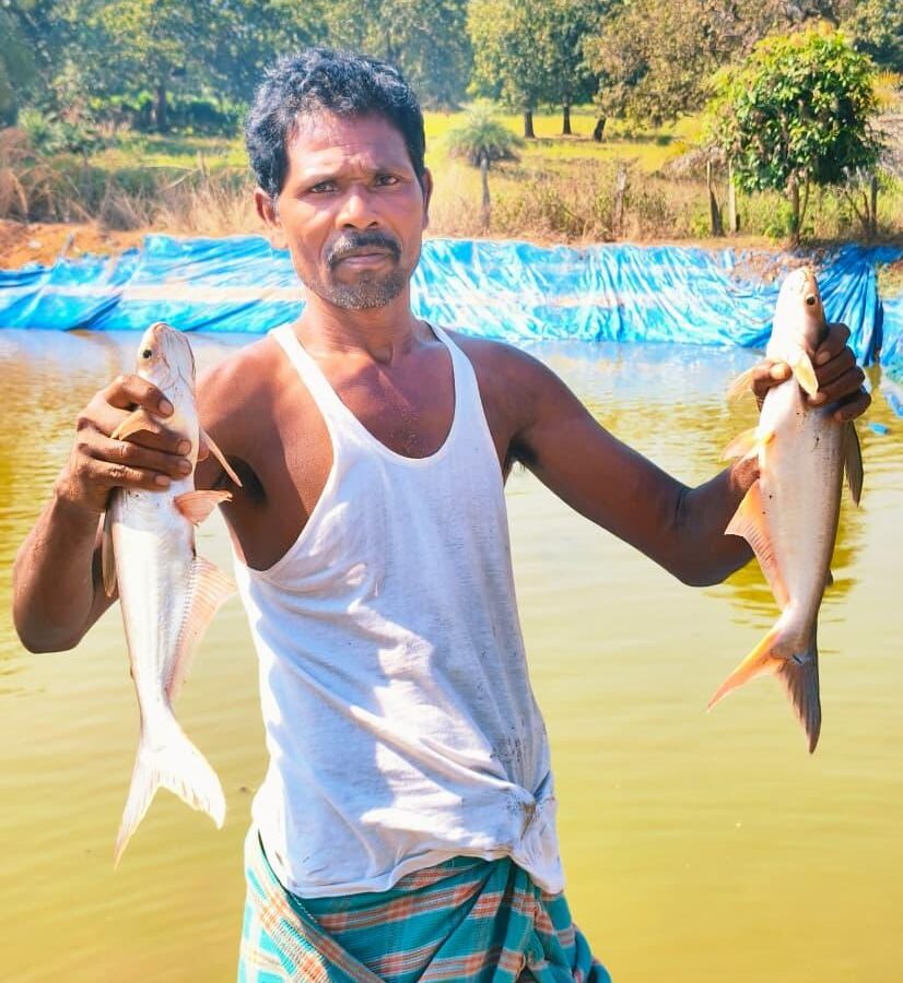 मछली पालन