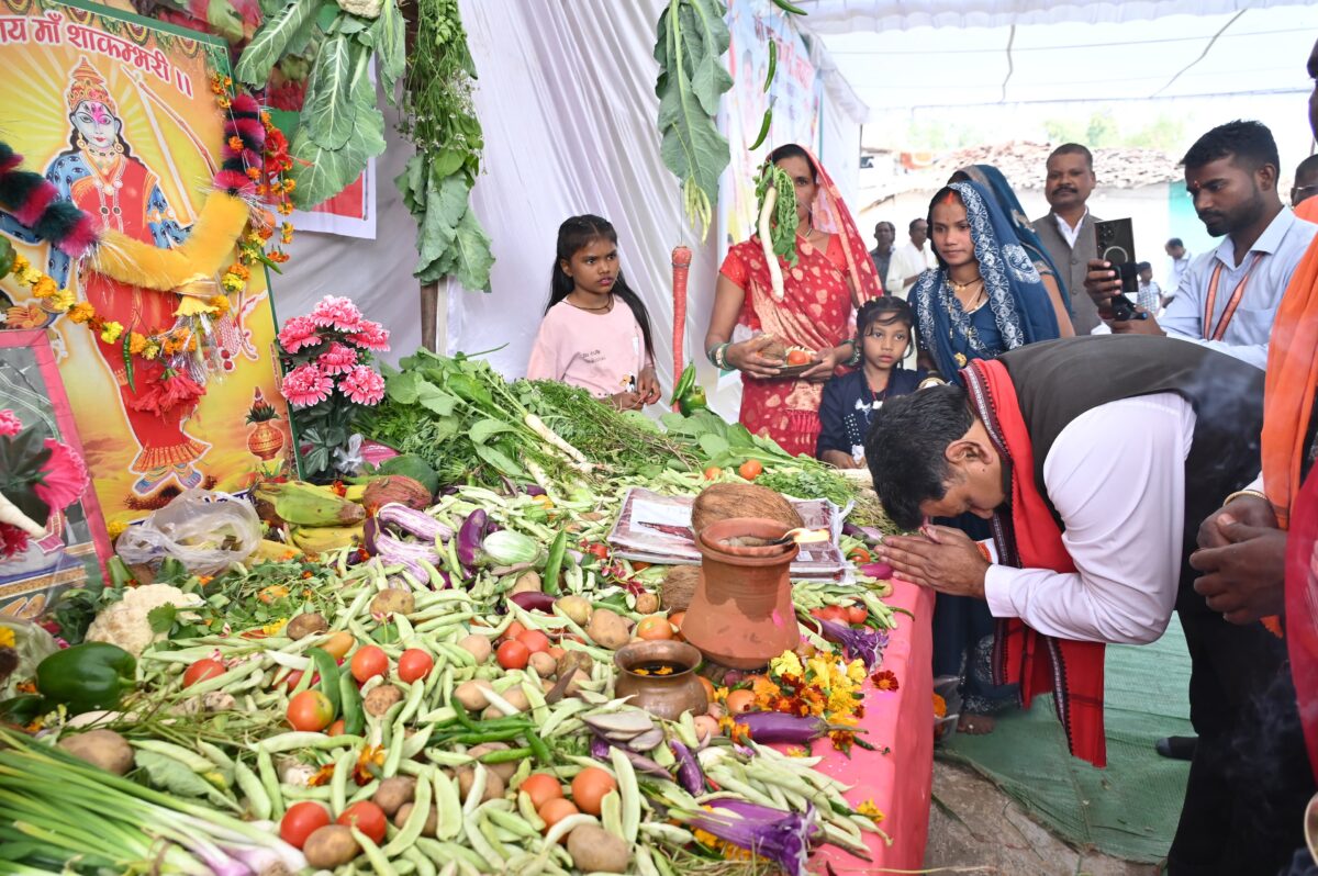 माता शाकम्बरी जयंती समारोह