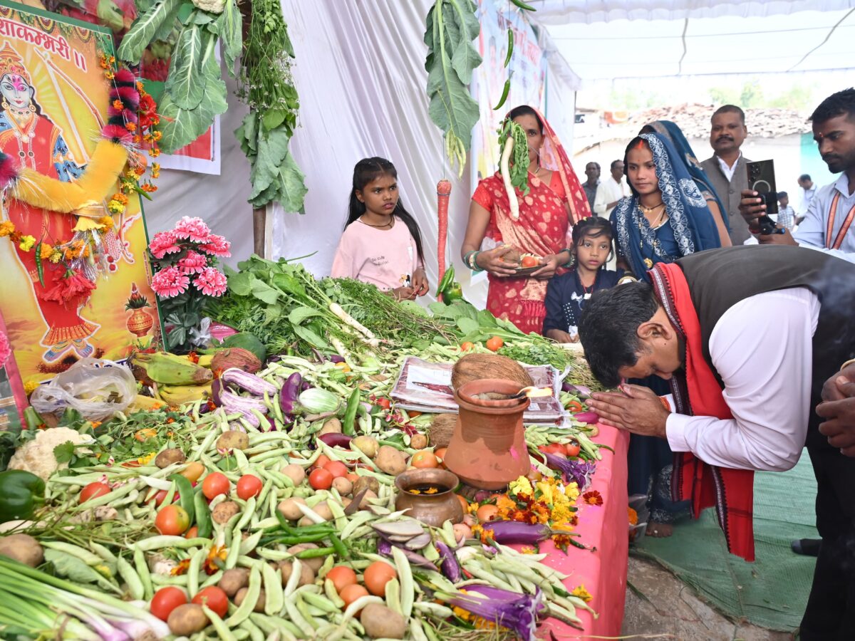 माता शाकम्बरी जयंती समारोह