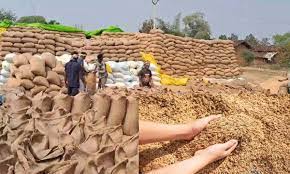 मुंगेली धान घोटाला खुलासा