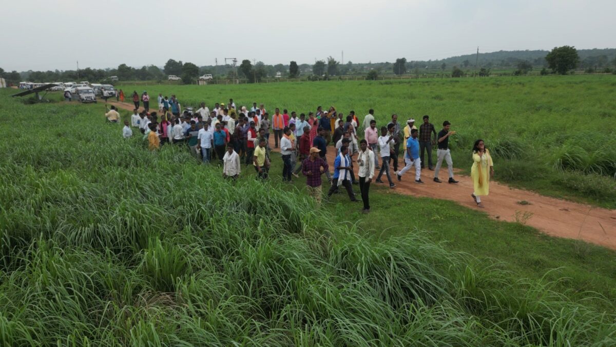 लेमनग्रास की खेती