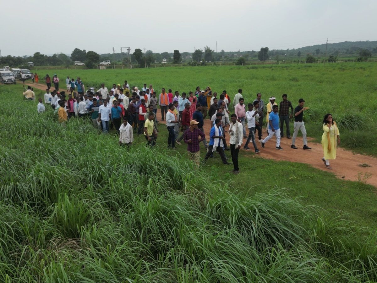 लेमनग्रास की खेती