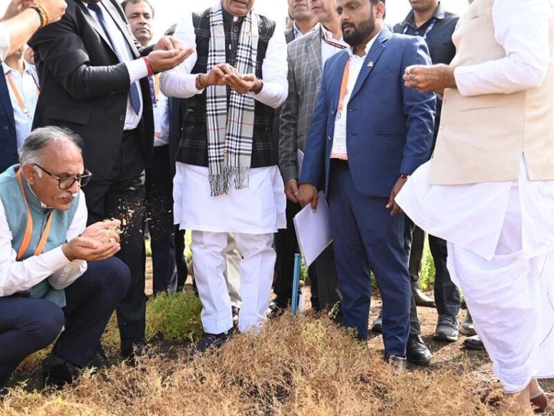 The nationwide pulse revolution began