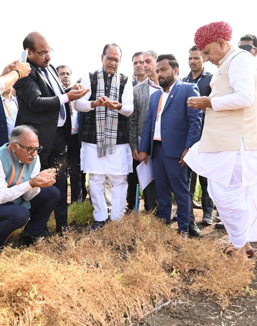 The nationwide pulse revolution began