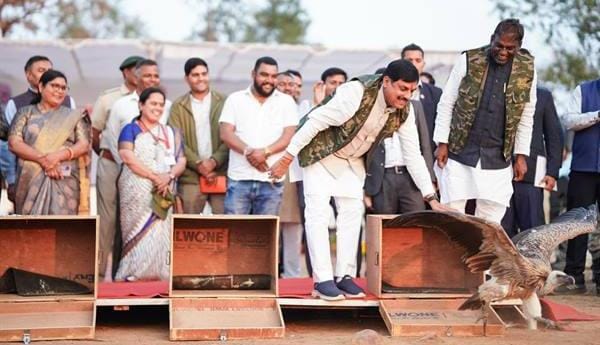 birds and animals that contribute to ecosystem