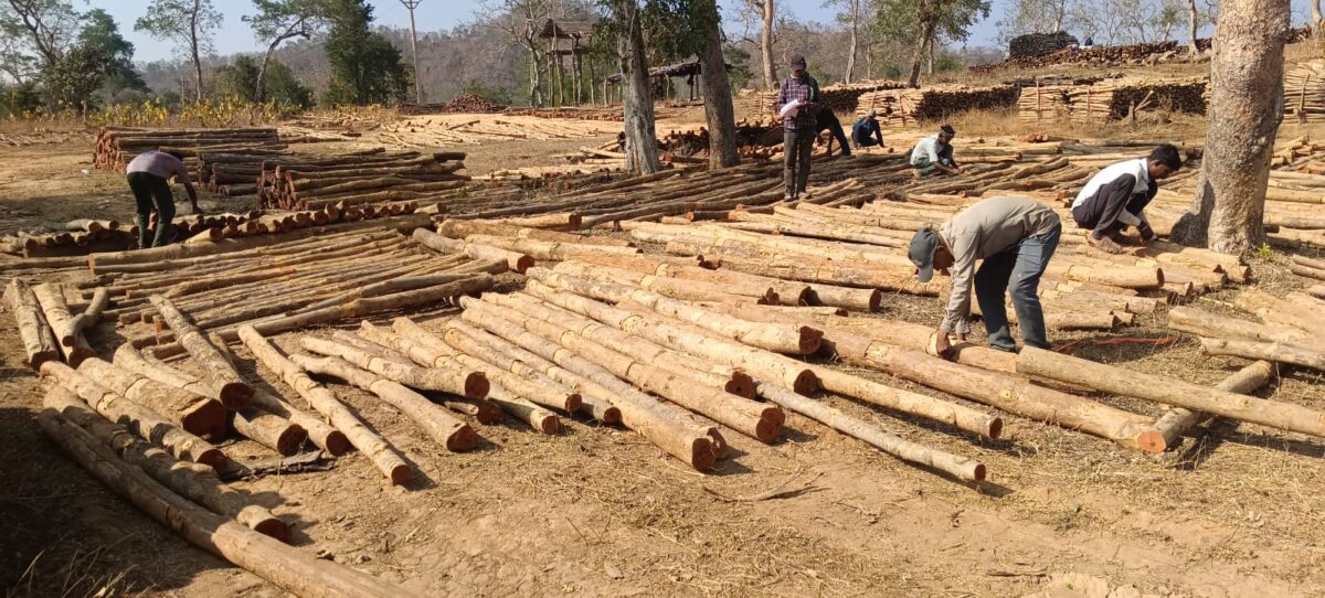 Chhattisgarh State Forest Development Corporation