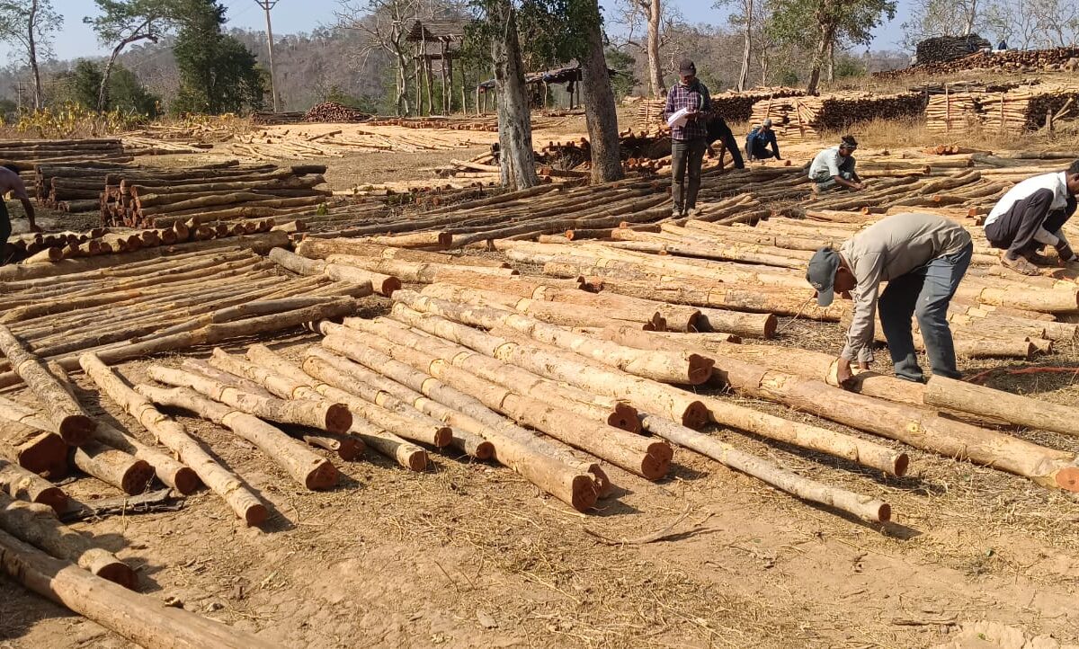 Chhattisgarh State Forest Development Corporation