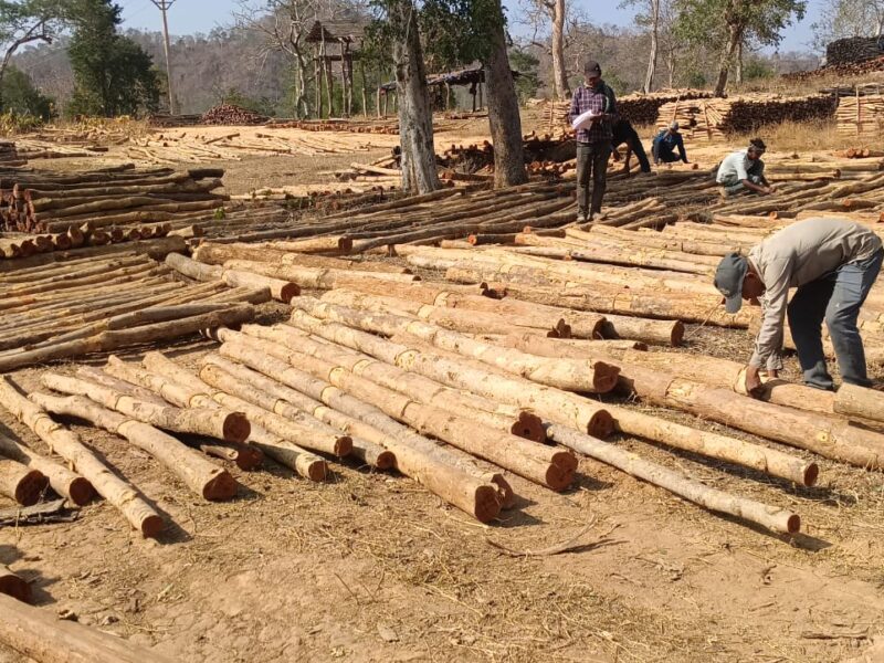 Chhattisgarh State Forest Development Corporation