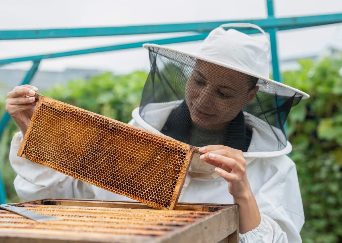 Beekeeping training