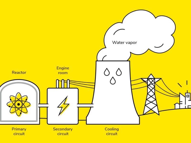 Department of Atomic Energy