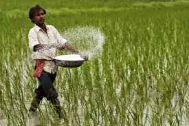 Kharif season