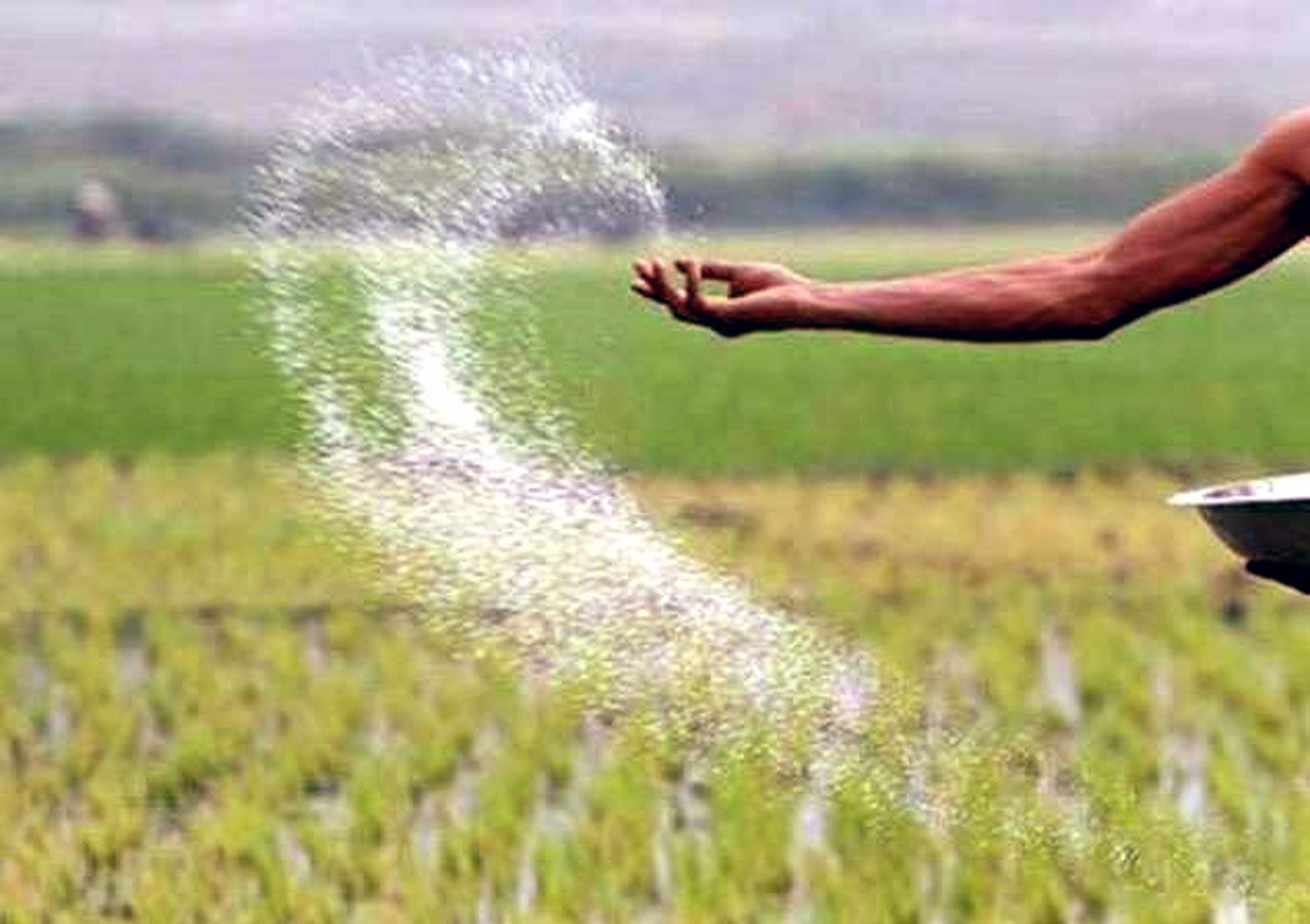 kharif