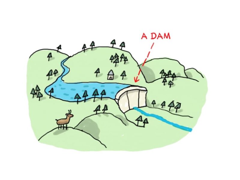 7 friends revive 14 lakes