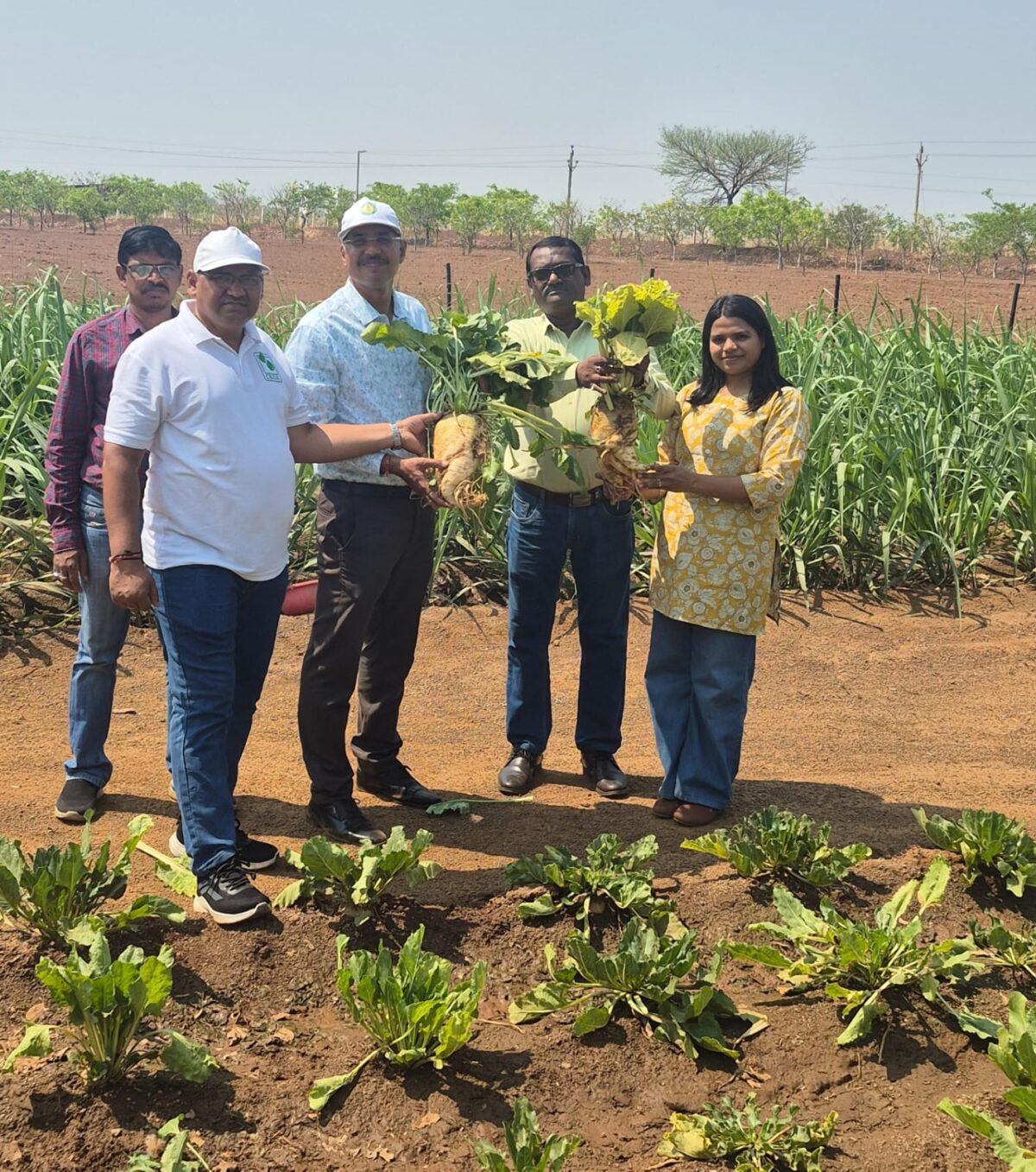 Agriculture + Biofuels in Chhattisgarh