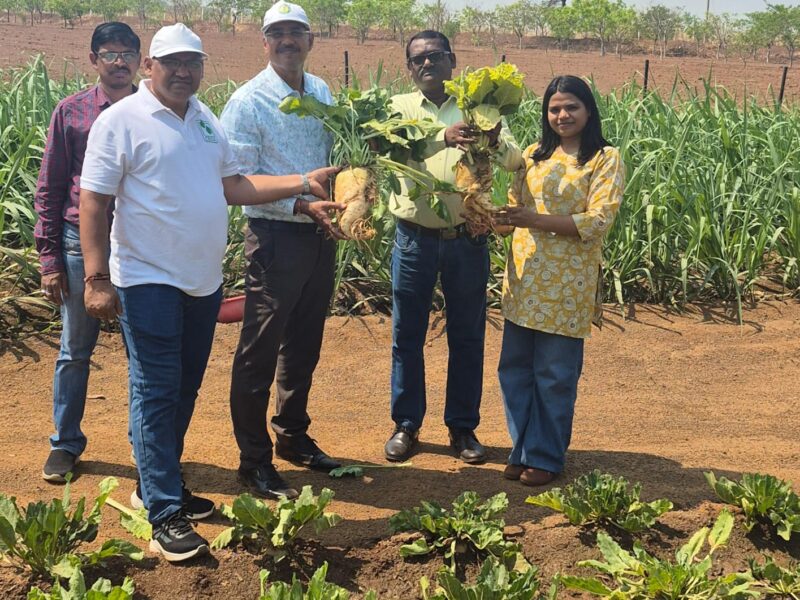 Agriculture + Biofuels in Chhattisgarh
